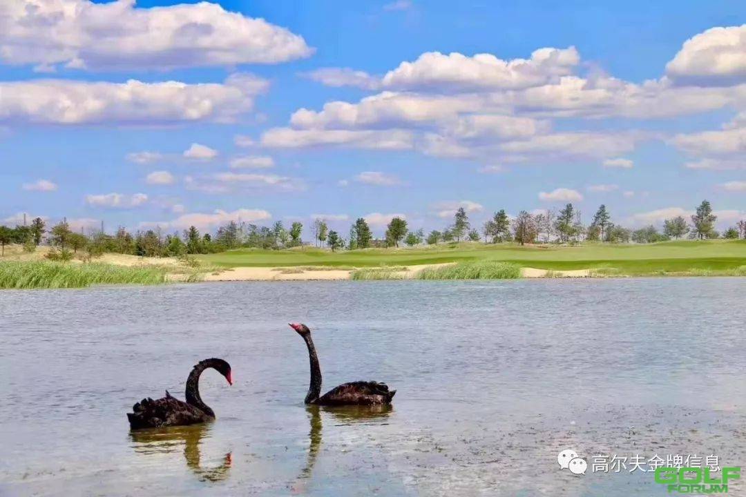 9月21日（周六）曹妃甸湿地高尔夫2019金秋邀请赛