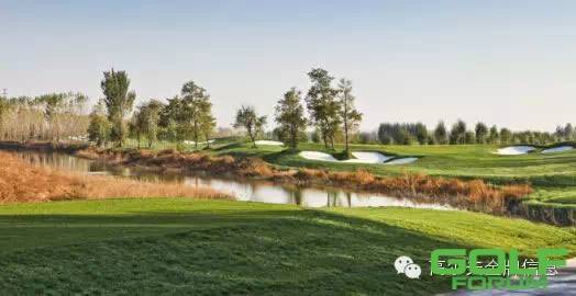 3月13日（周二）绿洲丰盈高尔夫开场