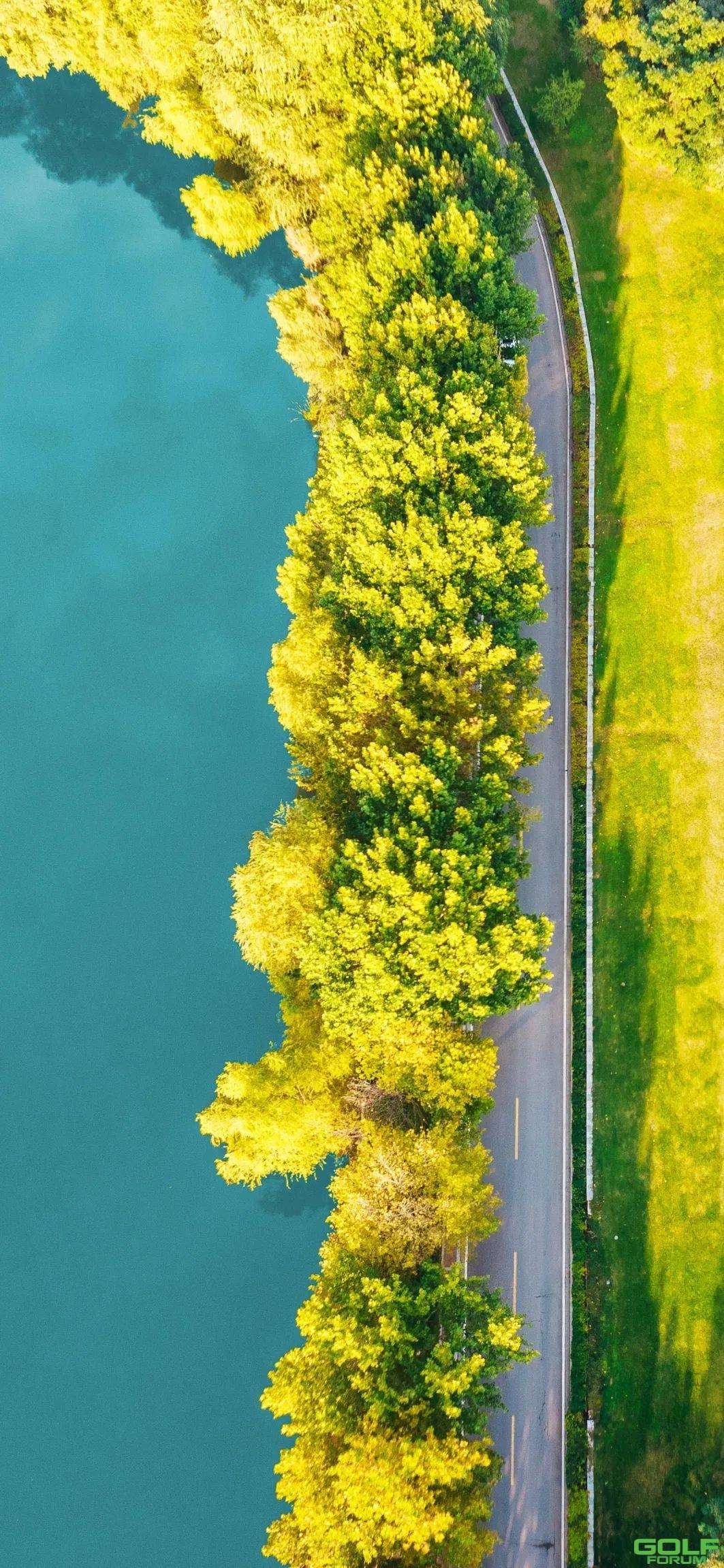金沙湖·壁纸|美景相伴，将湖畔的秋色紧握掌心