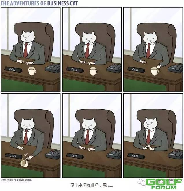 如果，你的老板是一只猫……