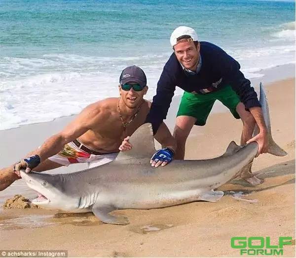 【惊呆】美国男子徒手将360斤活鲨鱼拖上岸走红网络