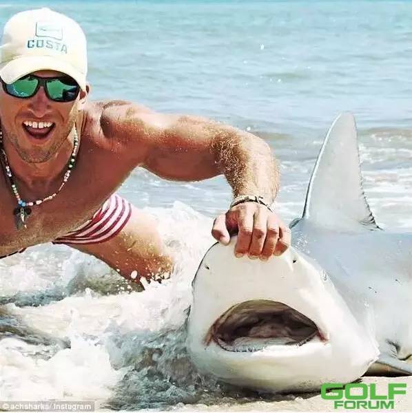 【惊呆】美国男子徒手将360斤活鲨鱼拖上岸走红网络