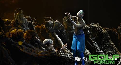 杨丽萍“收官”之作：美轮美奂的“孔雀”舞剧！