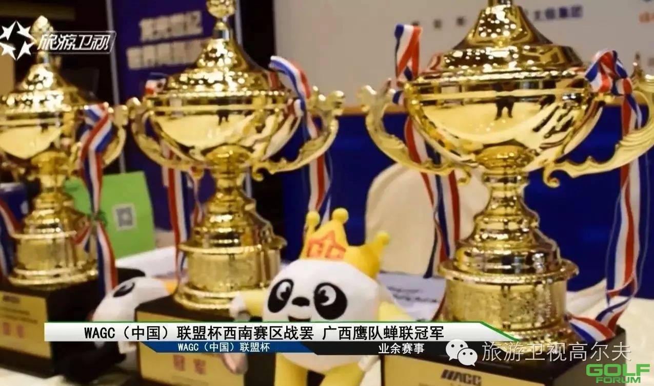 WAGC（中国）联盟杯西南赛区战罢广西鹰队蝉联冠军