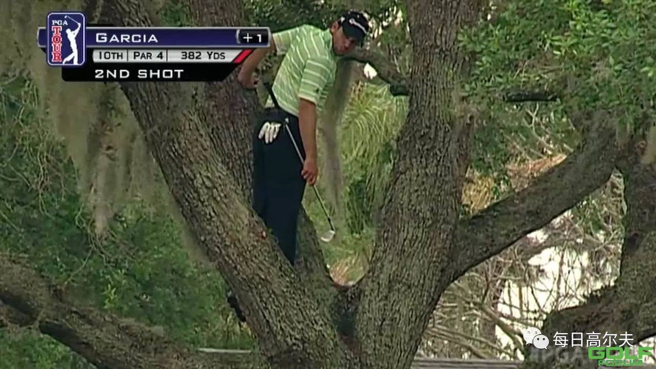 不会爬树？你好意思说自己会打高尔夫吗