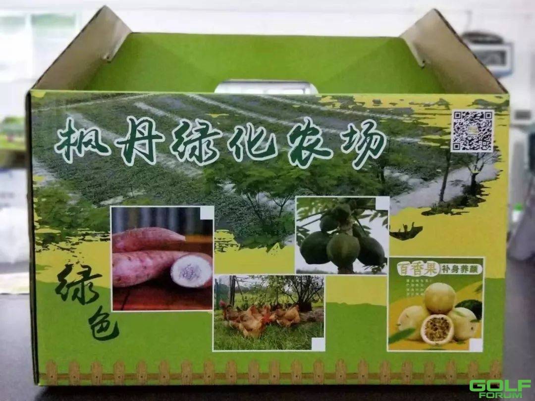 「枫丹绿化农场特别推荐」“一点红”番薯