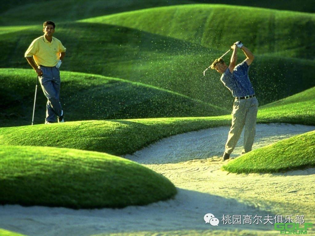 【阅读/转载】中国高尔夫球的“最”与“罪”