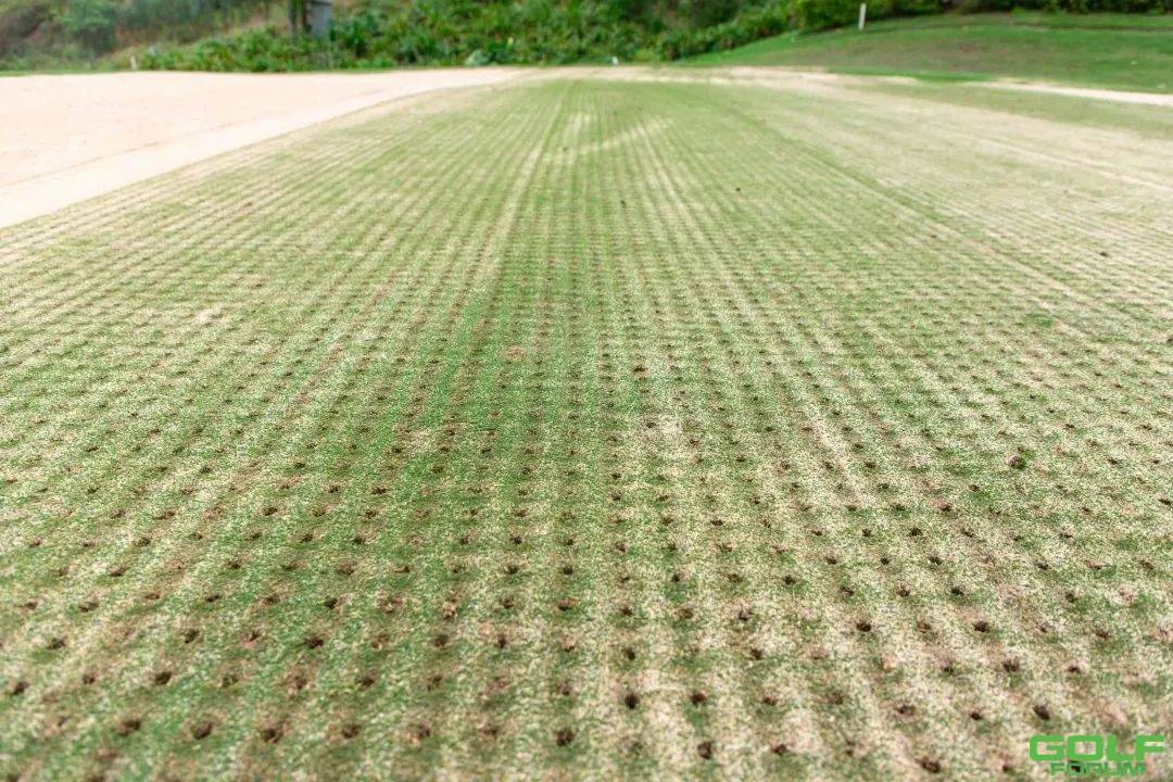 球场养护，成就优质草坪|春季果岭打孔作业