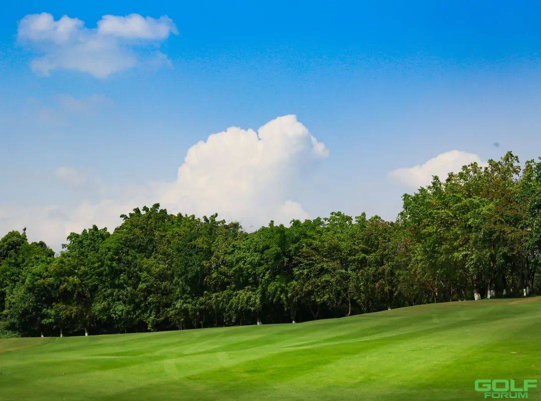 保利重庆高尔夫球会--南场草坪大养护打孔铺沙作业