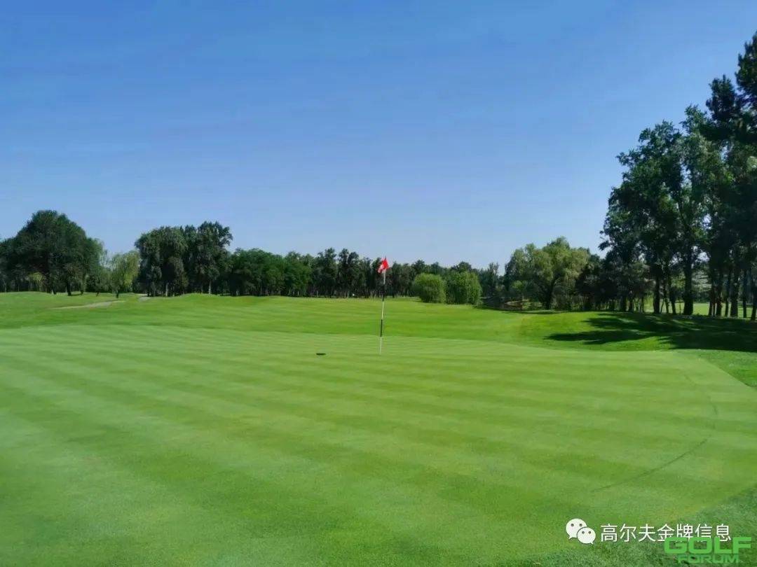 5月22日(周一)北京高尔夫特惠赠送Honma高尔夫球1盒