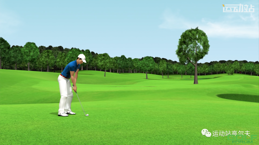 高尔夫打球策略｜3D高尔夫动画教学｜第1期